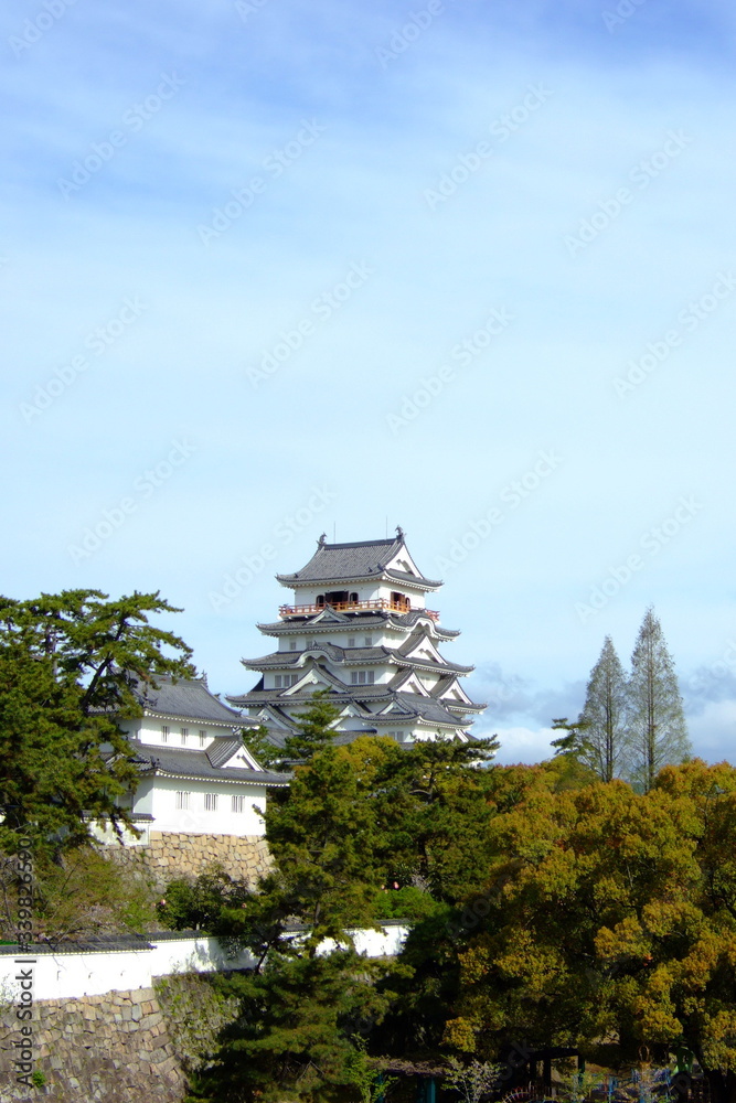 Fototapeta premium 日本百名城の福山城