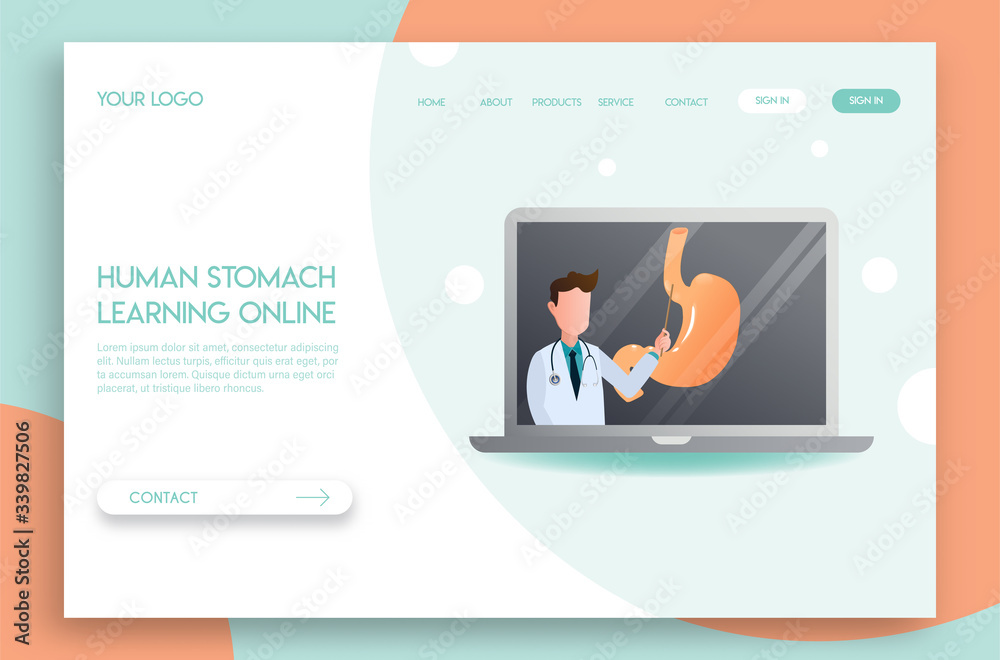 Landing page Online doctor concept. Experts advise Human stomach in learning online.