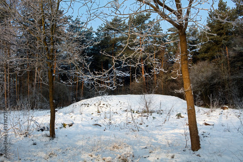 Maatschappij van Weldadigheid. Grave hill Doldersum. Winter snow. Netherlands