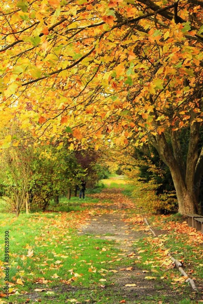 Naklejka premium Park Zamkowy, Wojnowice, dolnośląskie