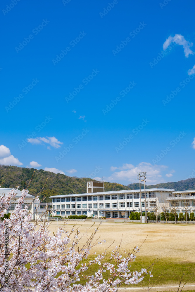 学校と桜の花　春　入学式　新学期