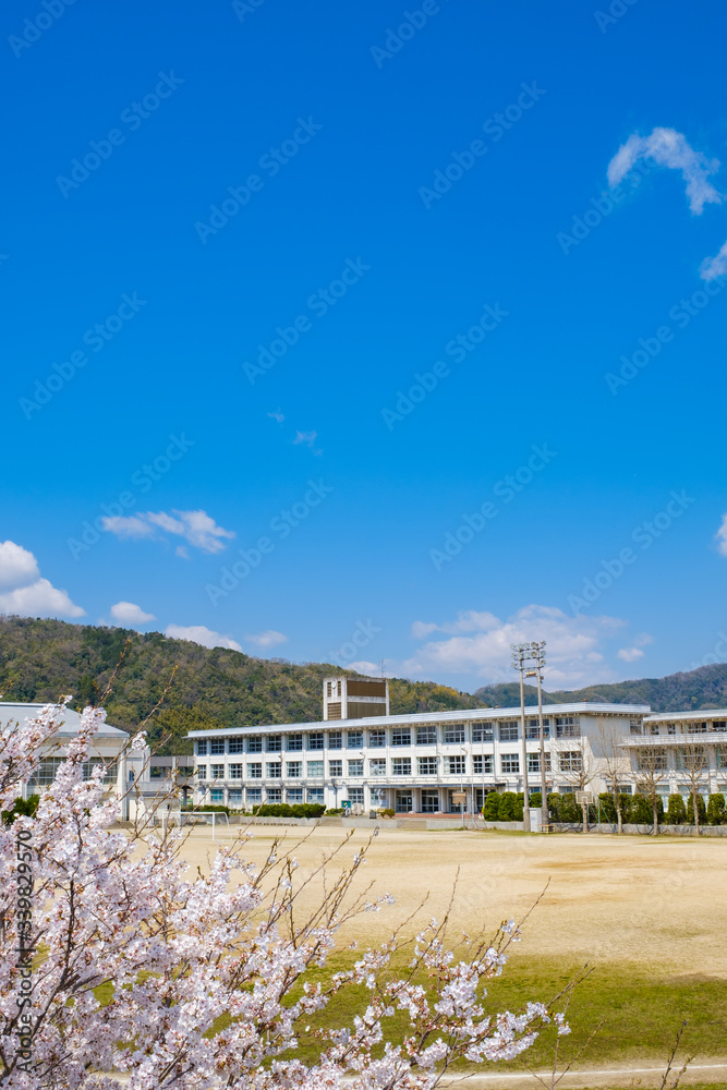 学校と桜の花 春 入学式 新学期 学校と桜の花 春 入学式 新学期