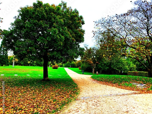Brabois park sideway at fall