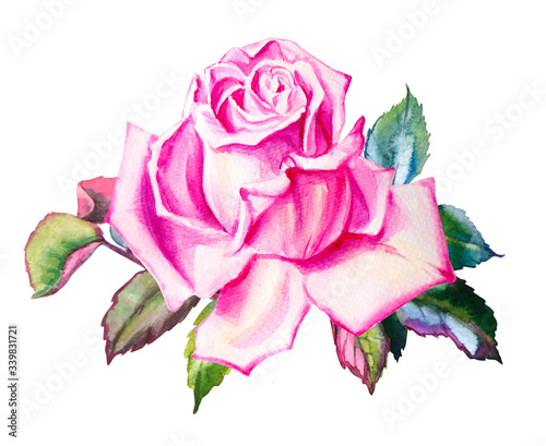 Watercolor pink rose with leaves decoration. Hand drawn floral illustration. Wedding  birthday and Valentine drawing. For greeting cards  invitations   design  patterns  prints. Flower scape  in bloom