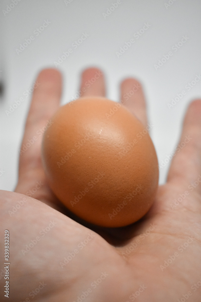 Hand holding a chicken egg on a white background Hand holding a chicken egg on a white background