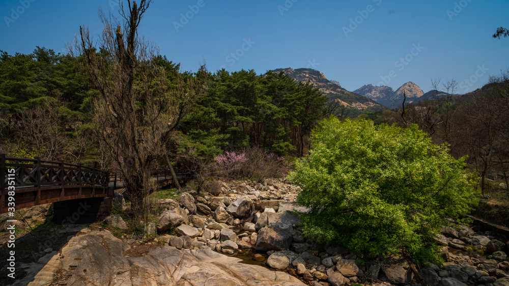 Bukhansan National Park Landscape in Spring
Bukhansan National Park Landscape in Spring