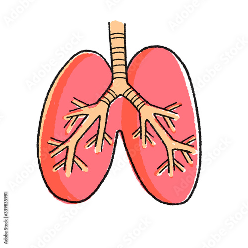 A set of lungs