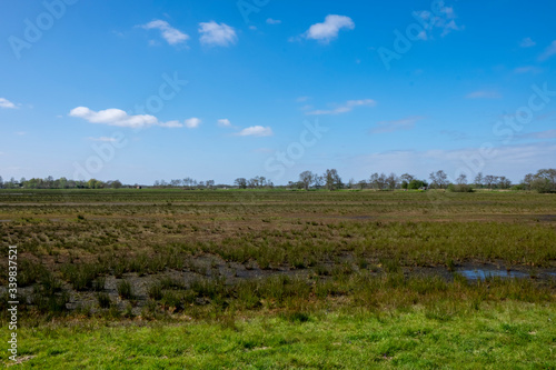 field of peat in a dutch landscape in holland in the netherlands