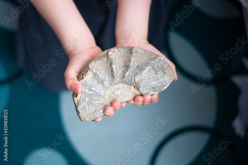 Unrecognizable child hold a fossil in hands. photo