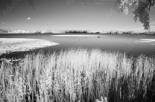 lake asnen, sweden, infrared recording photo