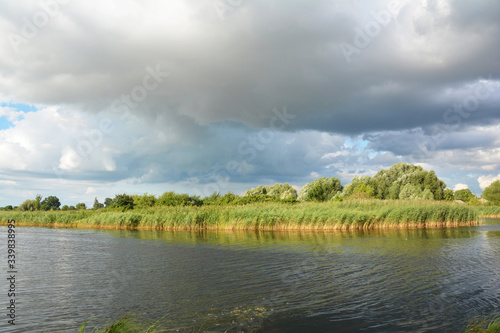 Breathtaking river landscape with a sunny river bank, river shore covered with Phragmites australis, common reed and with trees in the background and stormy cloud in the sky.