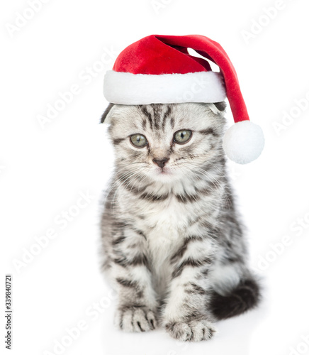 Cute tabby kitten wearing a red christmas hat sits in front view. isolated on white background © Ermolaev Alexandr