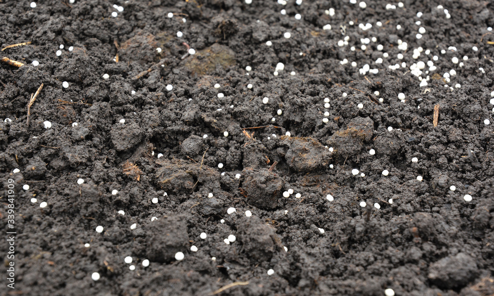 Applying mineral fertilizers to replenish the soil in order to increase crop yields in agriculture and vegetable gardens. Applying mineral fertilizers to replenish the soil in order to increase crop yields in agriculture and vegetable gardens.