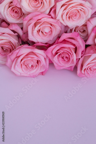 Bouquet of pink roses on a purple background top view