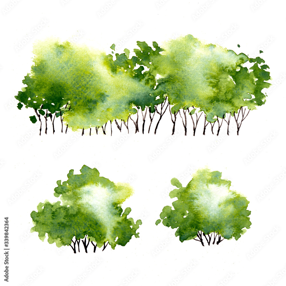 Collection plant shrub symbols of Landscape architect for decorate