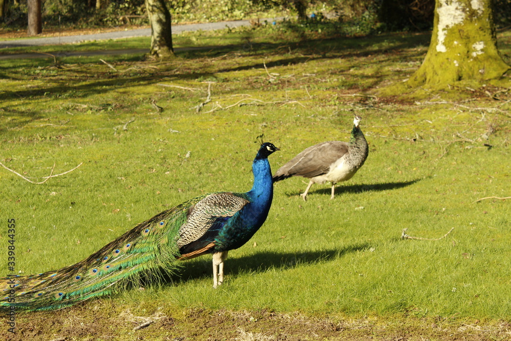 Johnstown Castle Wexford Ireland Johnstown Castle Wexford Ireland