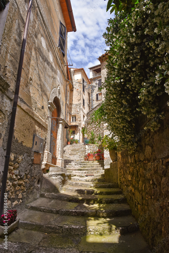 Fototapeta premium A narrow street between the old houses of a medieval village