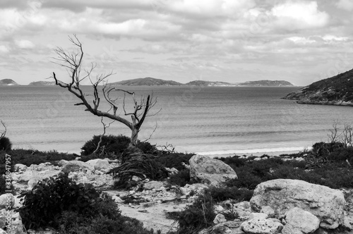 Beach landscape in black and white