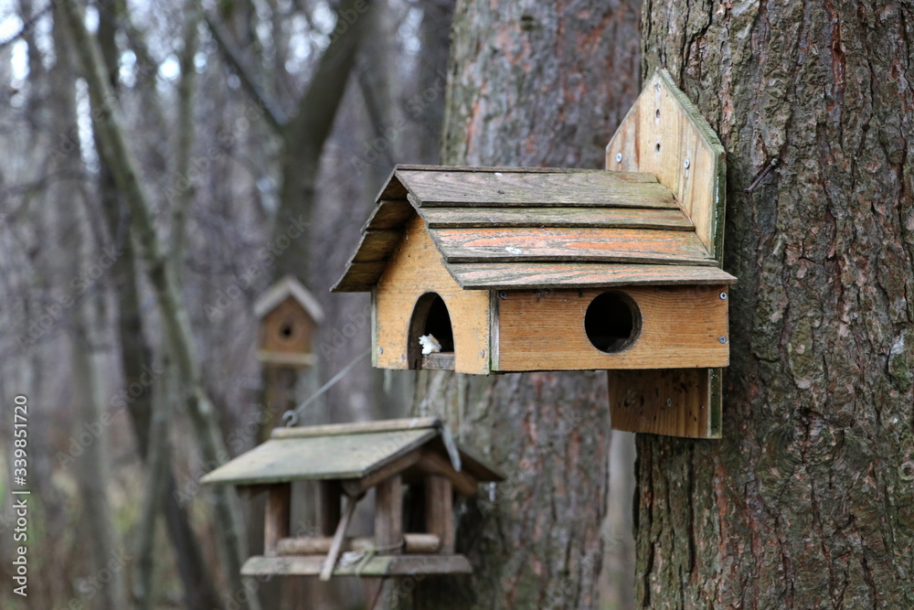 Bird Feeders on the trees