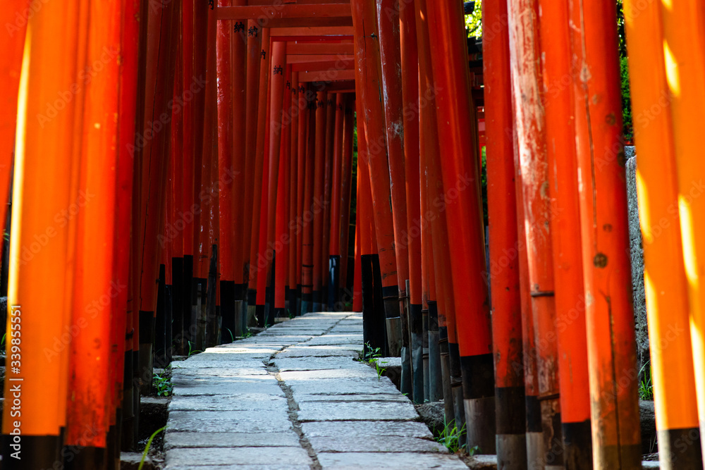 Tokyo, Japan - 9 8 2019: The rows of red 'torii' archways in Nezu shrine Tokyo, Japan - 9 8 2019: The rows of red 'torii' archways in Nezu shrine
