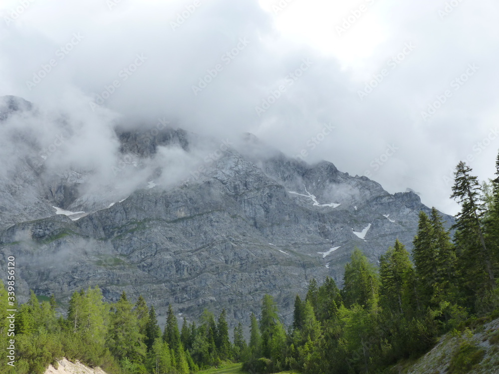 Alpine walley with coniferous forest and rocky hill with thunder cloud in the background, mountain weather