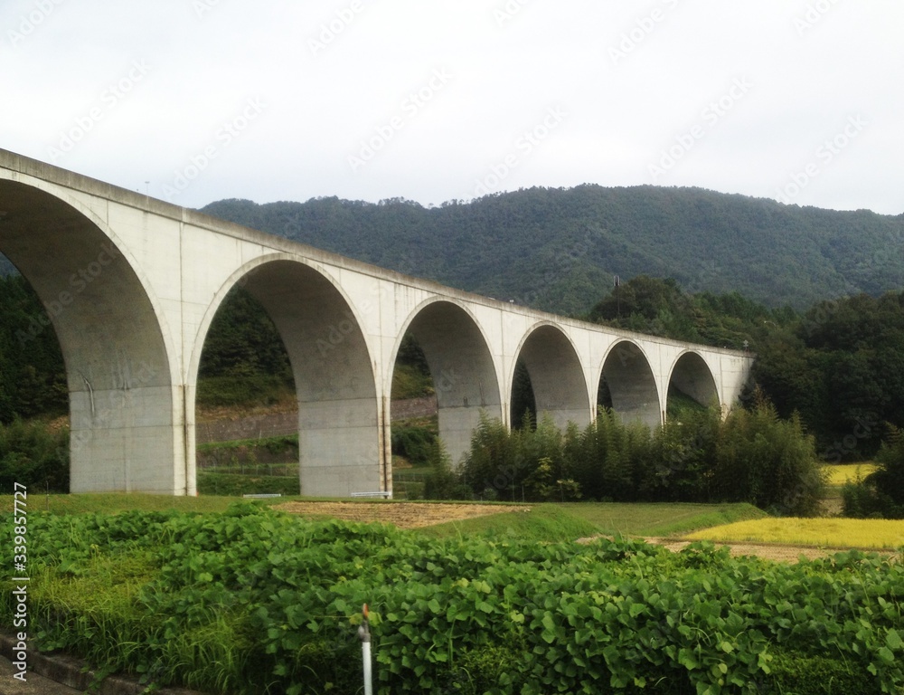 Fototapeta premium 橋