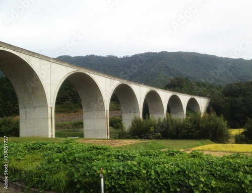 橋