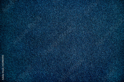 Grass colored blue photo