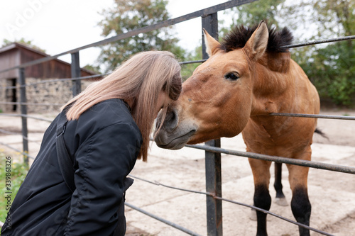 Girl in contact with a horse at the zoo.