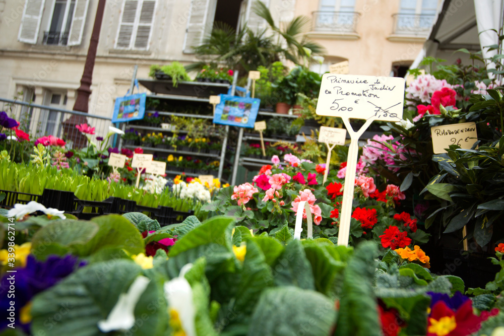 Naklejka premium Rassemblement pour marché aux plantes du printemps