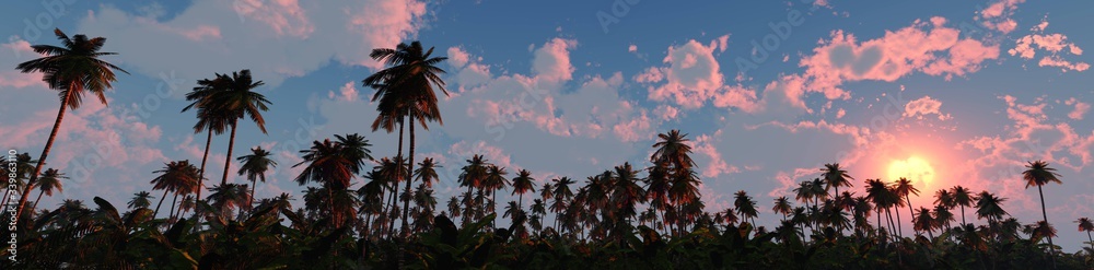 Palm trees on sunset background, silhouettes of palm trees at sunset, sky with palm trees