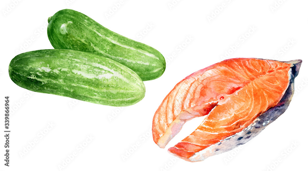 Cucumber salmon steak cuisine set watercolor isolated on white background Cucumber salmon steak cuisine set watercolor isolated on white background