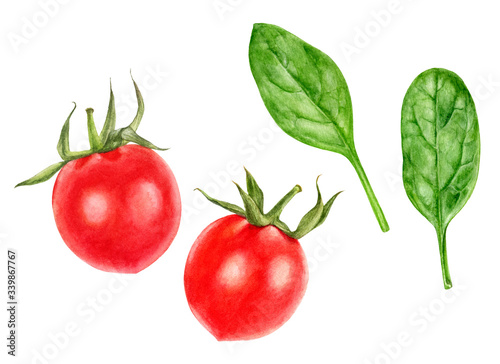 Cherry tomatoes spinach set watercolor isolated on white background