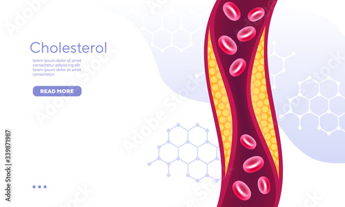 Organic compound red blood cell cholesterol vector illustration
