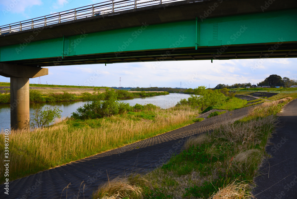 Fototapeta premium 橋