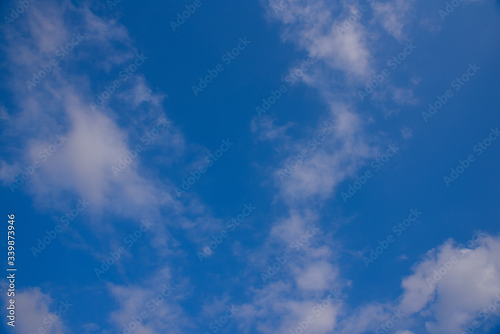 Fototapeta premium 空