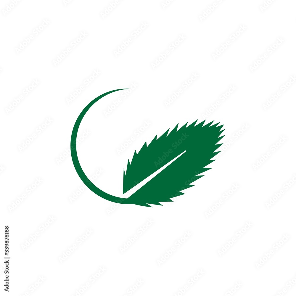 Plakat Mint leaves flat vector color icon template isolated