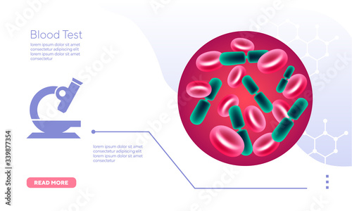 Red blood cell analysis microscope vector graphics