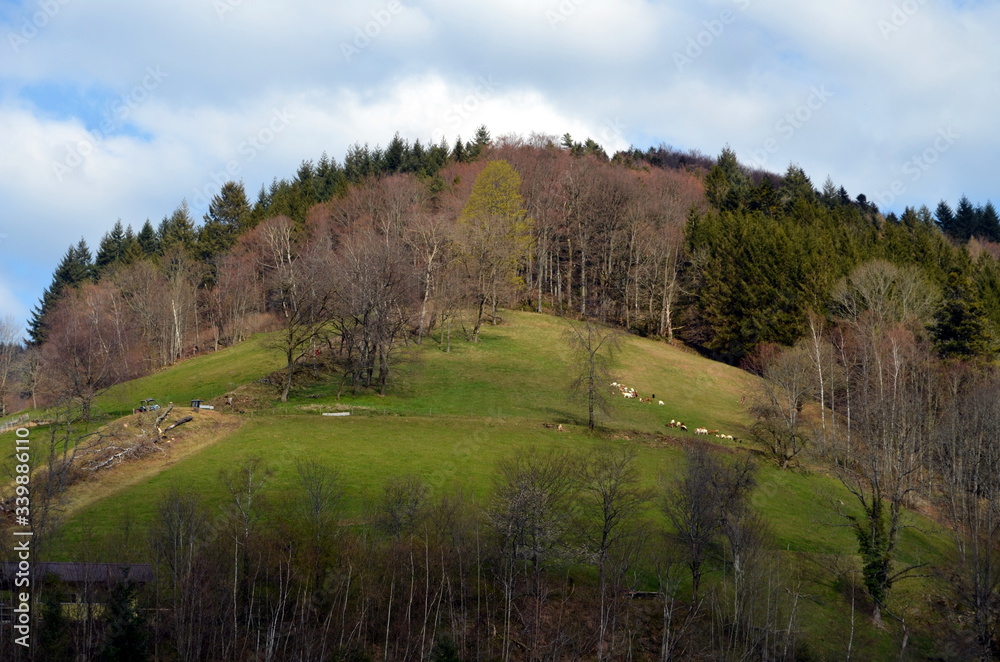 Blick von St. Ulrich aufs Geiersnest