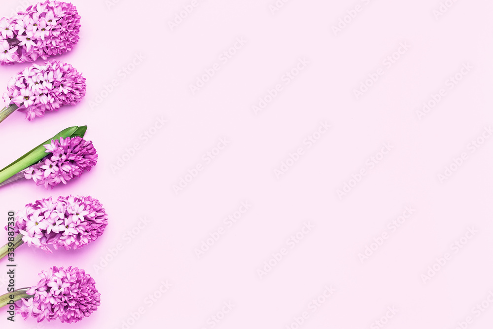 Pink hyainths on pink background. Mothers day, Valentines Day, Birthday celebration concept. Top view, copy space