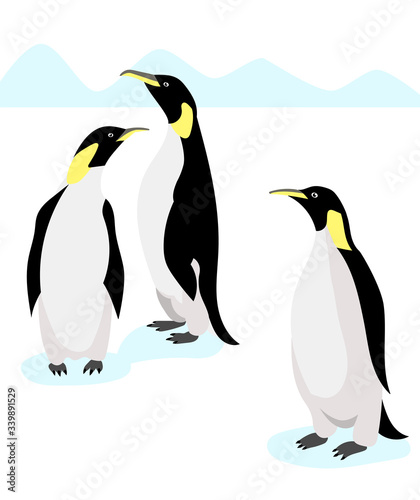 Emperor penguins on white background. Antarctic nature. Vector illustration.