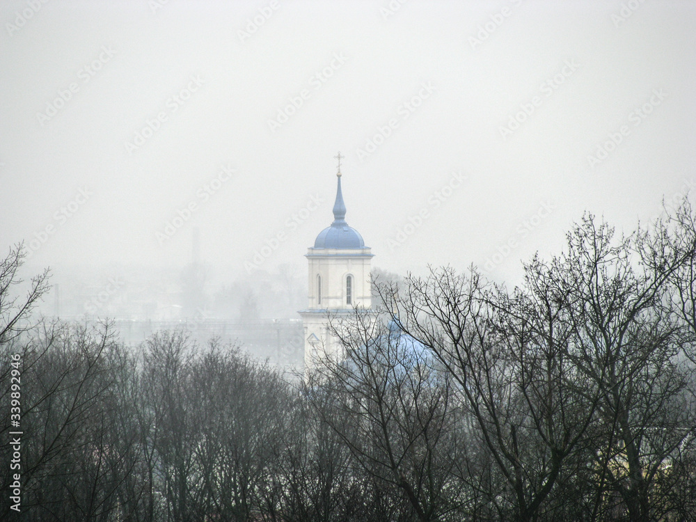 Domes of an old Orthodox church behind the crowns of trees