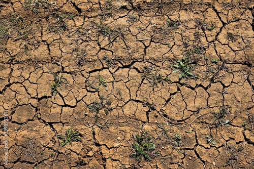 Photography of dry and cracked land surface