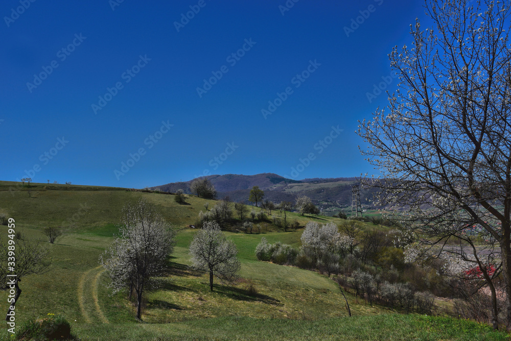 Naklejka premium HDR outdoor landscape photography