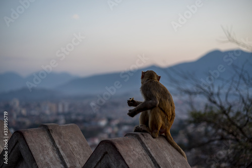 Swayambhunath Monkey Temple...