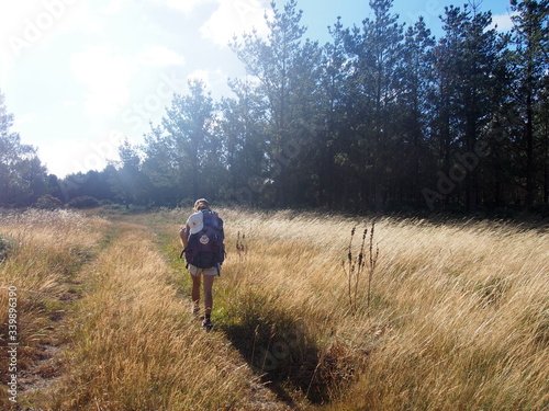 Pilgrim walking through beautiful agricultural landscape, Camino de Santiago, Way of St. James, Journey from Cee to Olveiroa, Fisterra-Muxia way, Spain