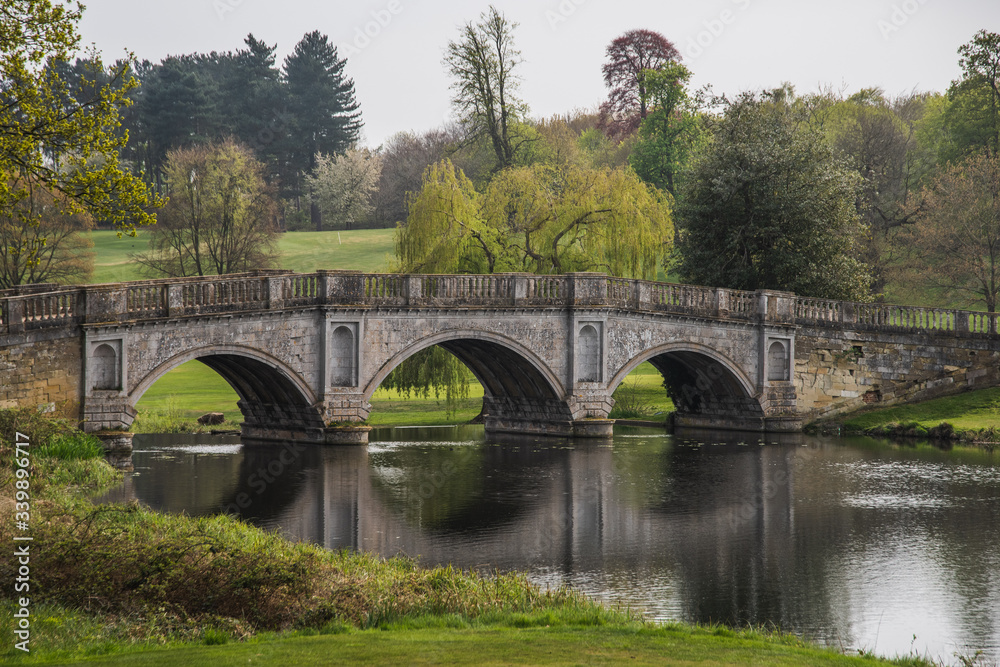 Fototapeta premium bridge over the river