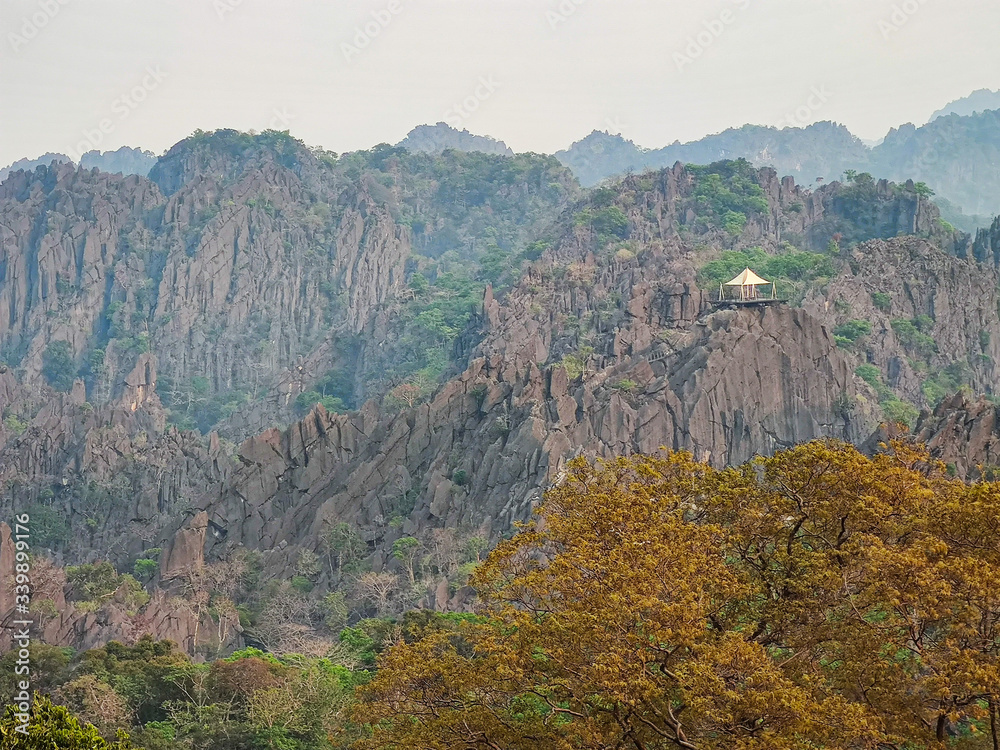 Rocky mountains with green forest top view. Green trees with leaves.