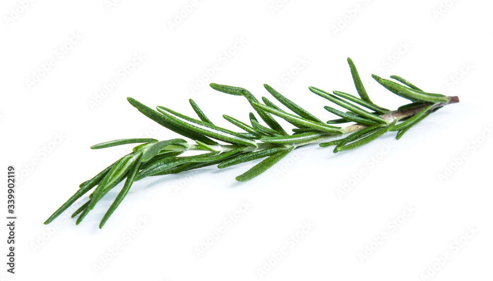 rosemary isolated on white background (Mix, set , collection)