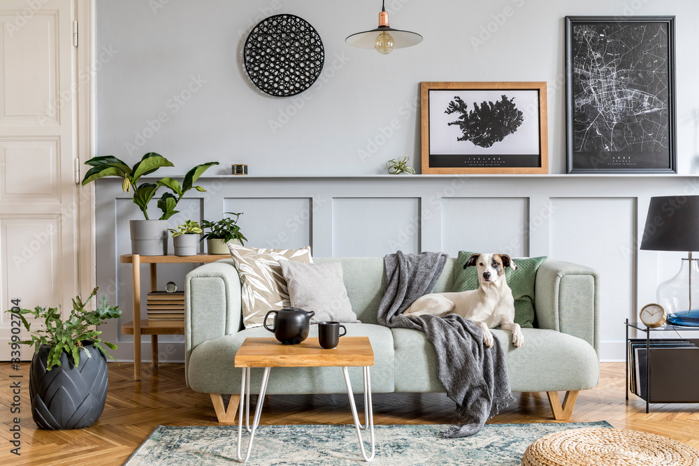 Stylish interior design of living room with modern mint sofa, wooden  console, furniture, plant, mock up poster frame, pdecoration , elegant  accessories in home decor and dog lying on the couch. Stock-Foto
